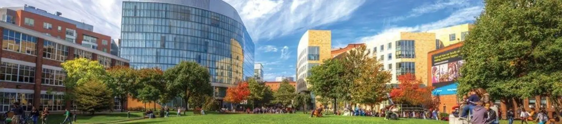 Adult-Gerontology Acute Care Nursing